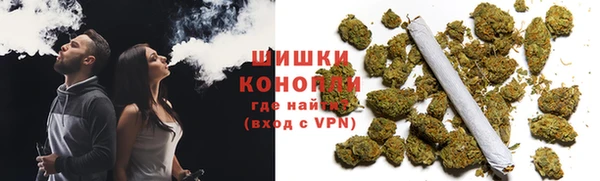 PSILOCYBIN Армянск