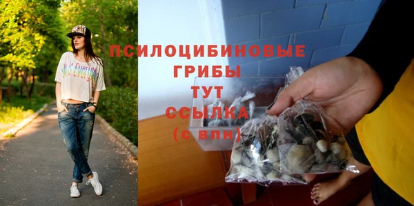 прущая мука Елабуга